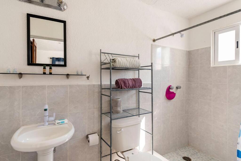 Micro Studio Perfect For Backpackers, Couples, 3 Min Drive To Playa El Nino Cancun Dış mekan fotoğraf