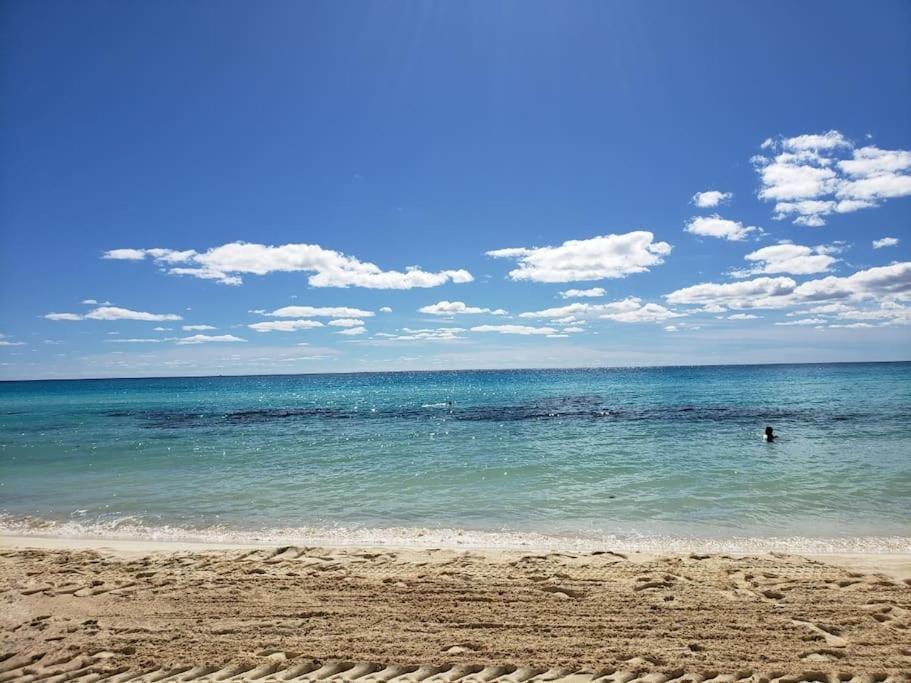 Micro Studio Perfect For Backpackers, Couples, 3 Min Drive To Playa El Nino Cancun Dış mekan fotoğraf